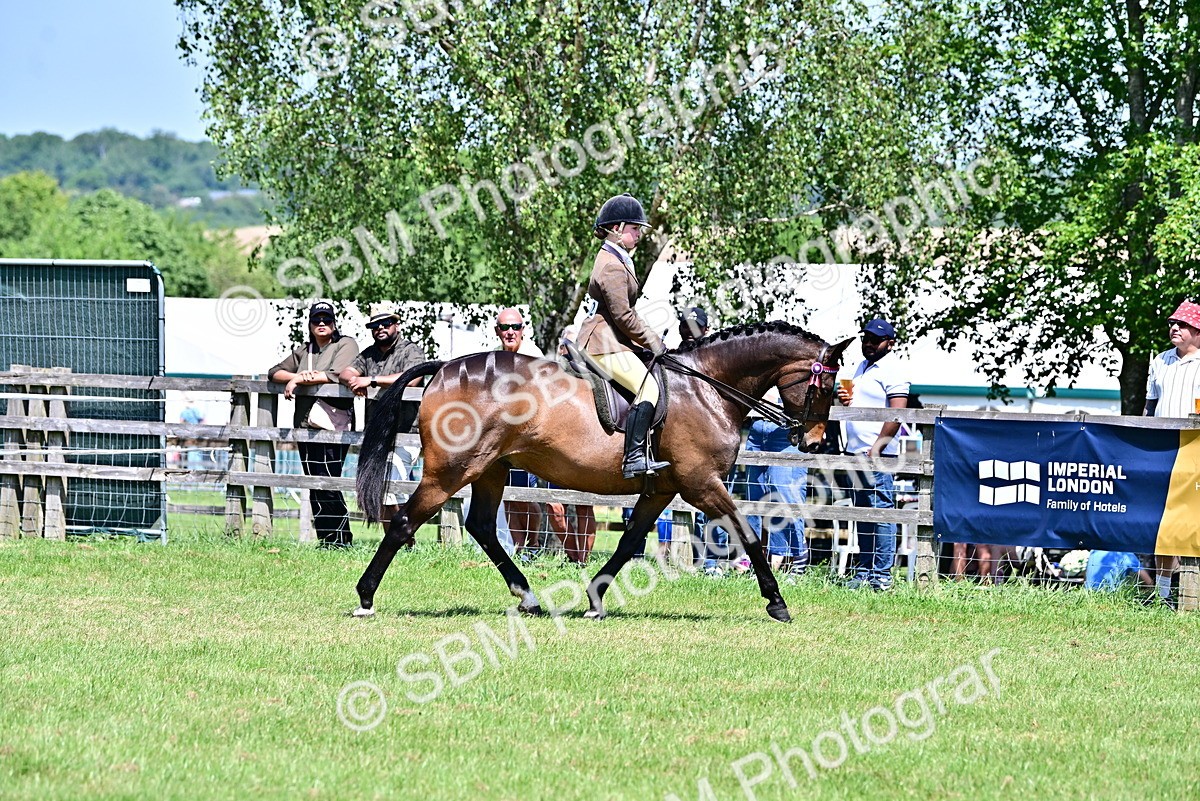 SBM_17387 - Class 95-97 - BSPS LHS Performance Ponies