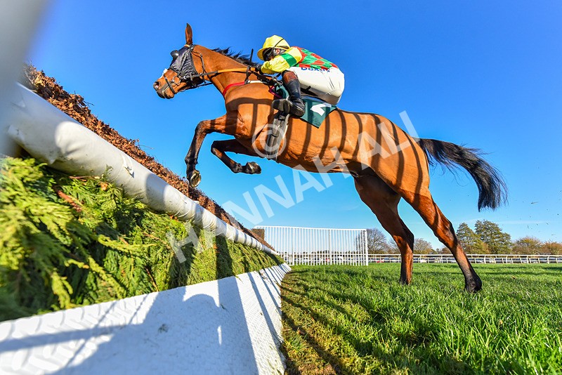 221124-Race 4-Duke Of Luckley-9144 - Race 4