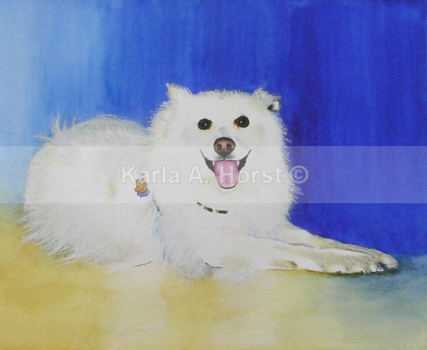Sparky - Pet Portraits