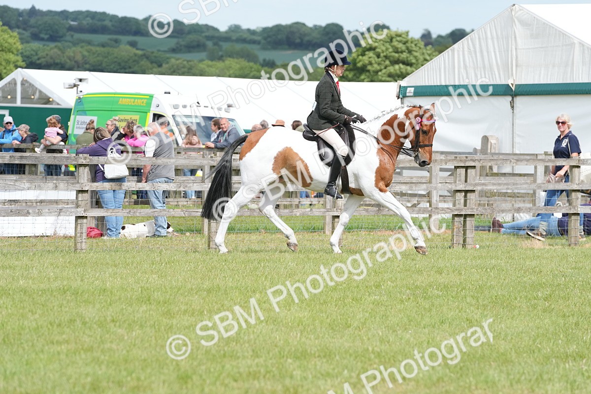SBM_17605 - Class 107-108 - LIHS BSPS Performance Coloured Horse Pony