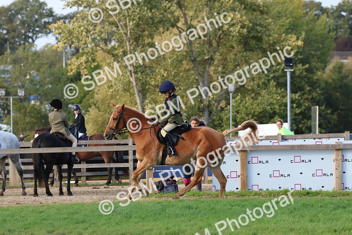 SBM_52589 - S13 - Pony Club Pony