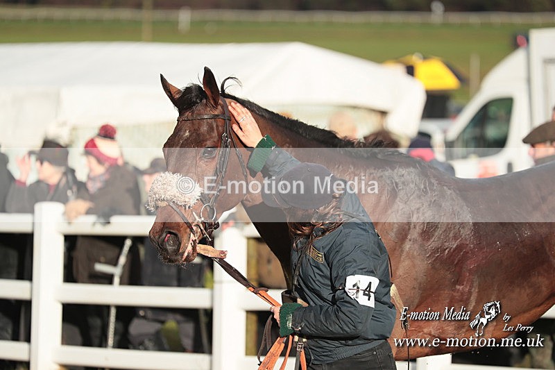 PtP 101223 895 - New Forest Hounds PtP Larkhill 10/12/23