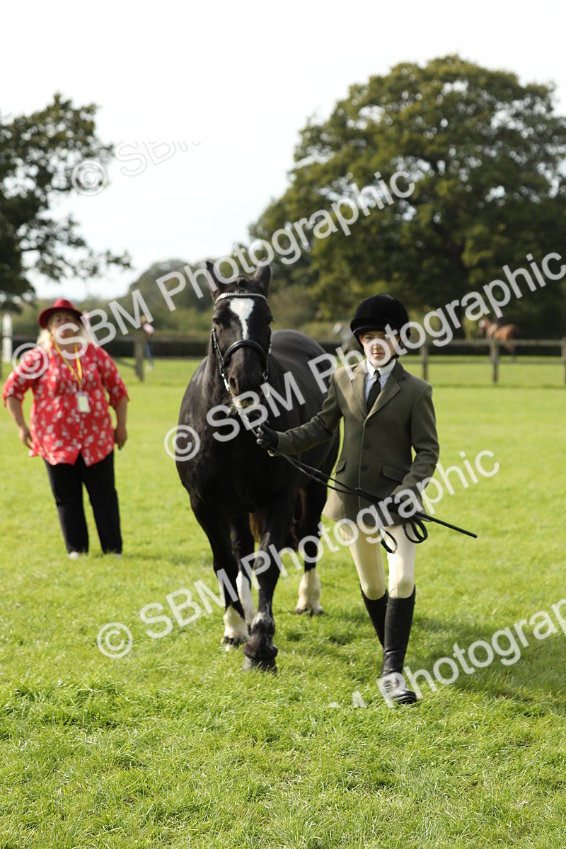 SBM_68666 - S40 - Junior Handler 9-12 Years