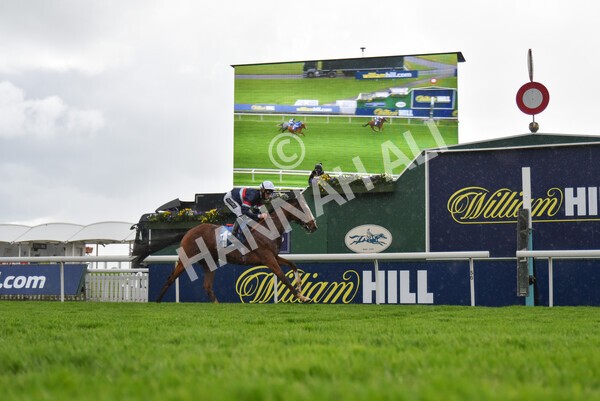 yr22052021r3-42 - Race 3 3.15pm William Hill Extra Place Races Stakes