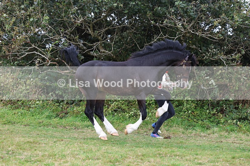 3E7A4122 - Class 15: Two Year Olds