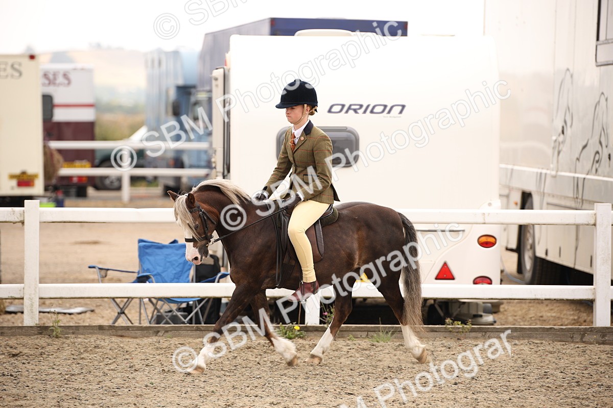 SBM_12587 - Class 405b - M&M Working Veteran 50cm 20+