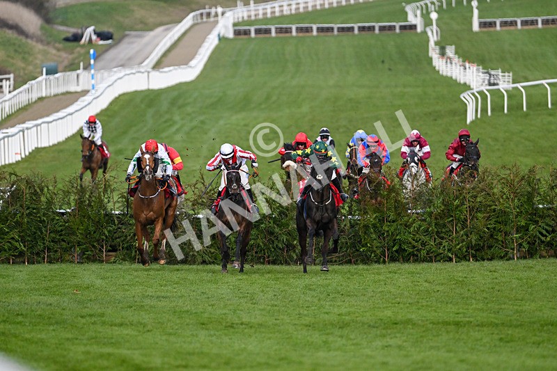 120325-Race 4-Stumptown-6963 - 12th March