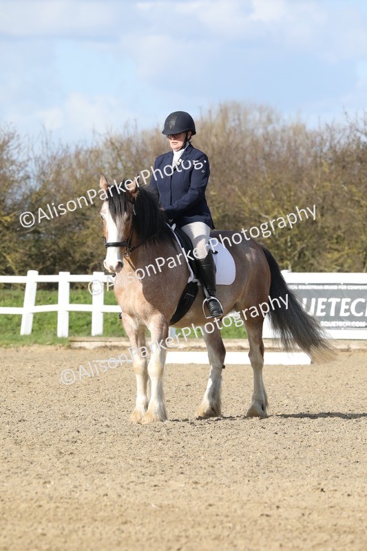 20260314-4986 - CT6 - Elementary 1