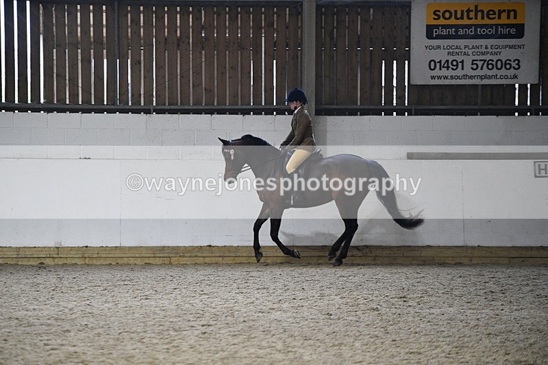 WJ5_8928 - Class 15 Ridden Show Horse