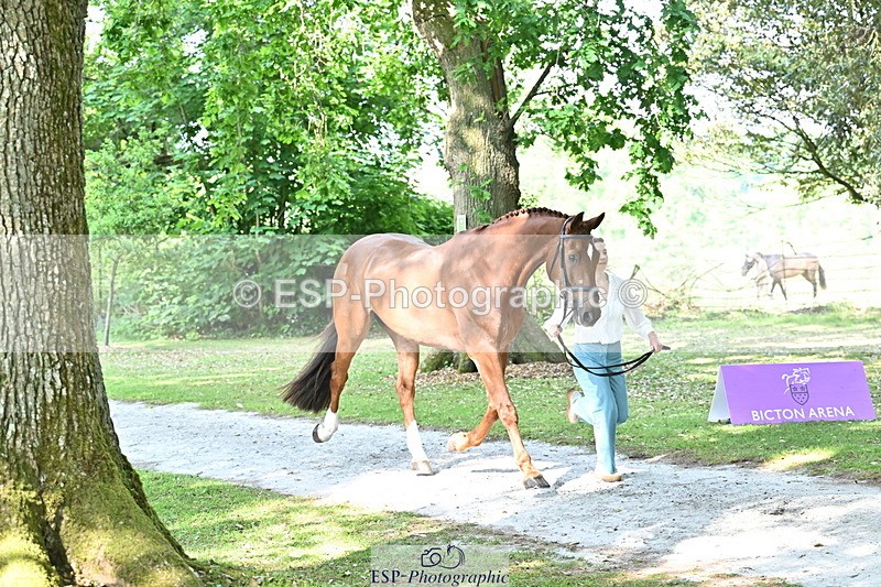 250521A-163332-01215 - C-231-Alannah.Dunstan-JUMPING.STAR.J.W.B