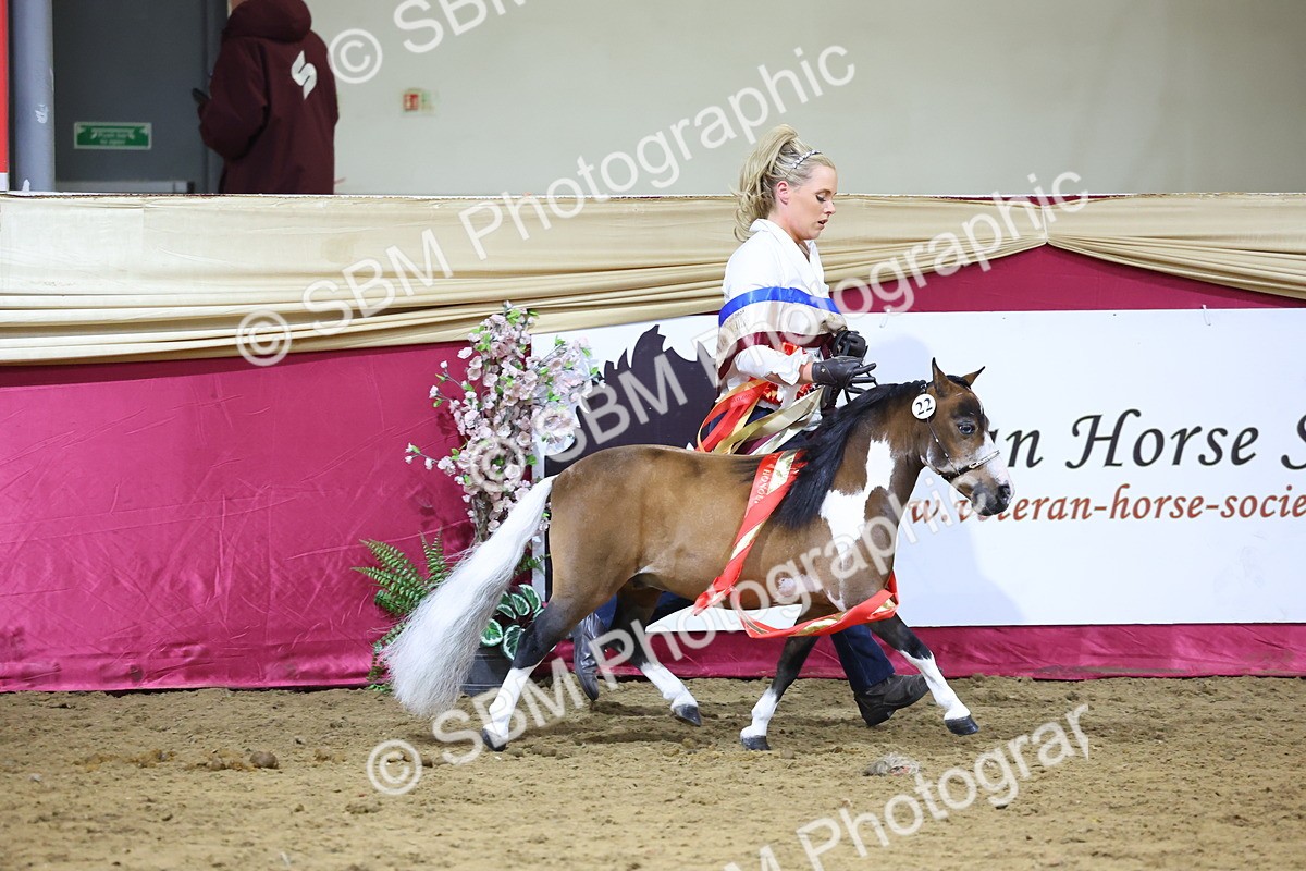 SBM_18744 - Class D IH Pony Champ
