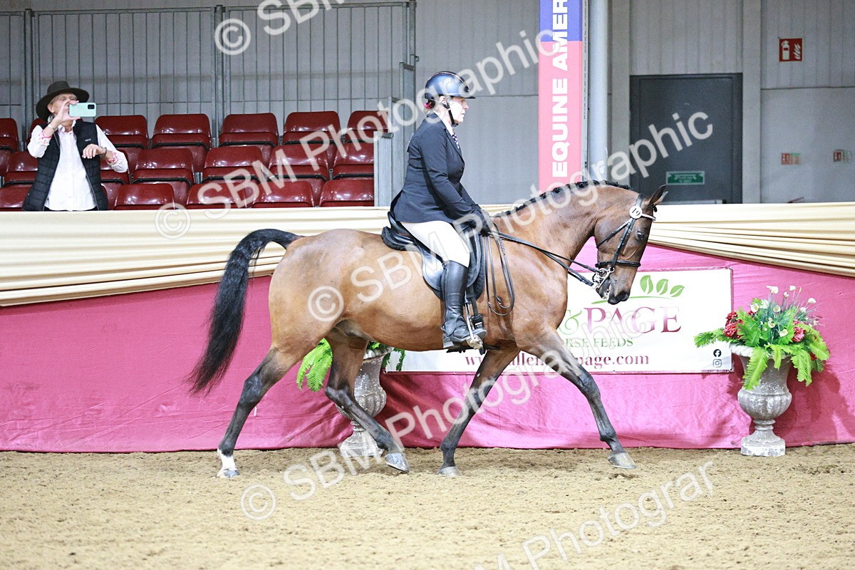 SBM_03327 - Class 6A Area Ridden Pre-Vet