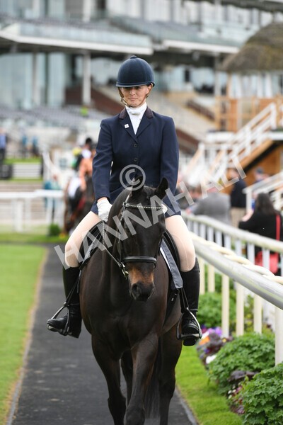 yr22052022r8e-14 - ROR - Parade Ring York