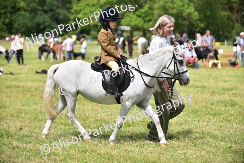 20260614-1262 - Class 11a - Lead Rein Pony (Unplaited)