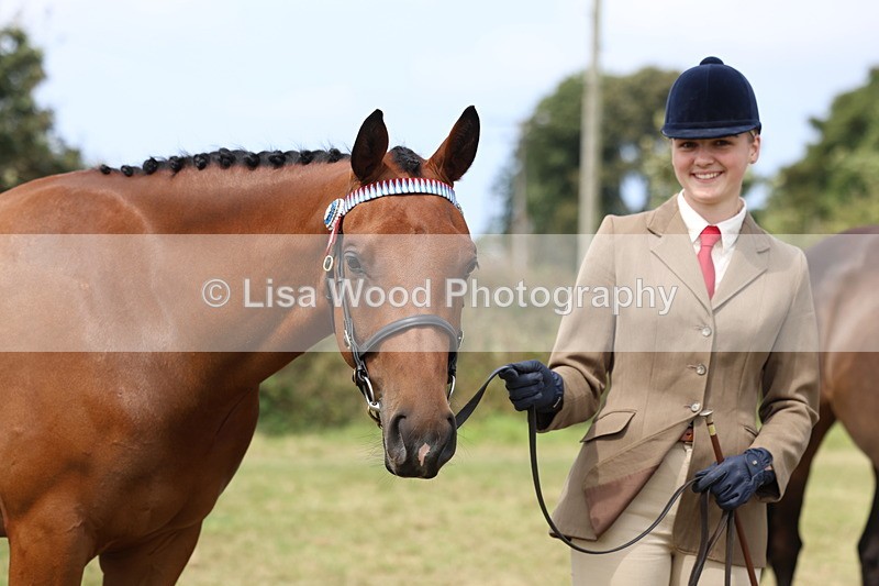 3E7A5572 - Class 20: Sports Horse In Hand