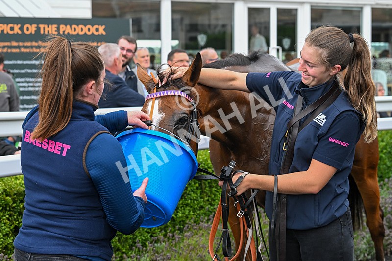 190824-Race 1-Shes A Novelty-3321 - Race 1
