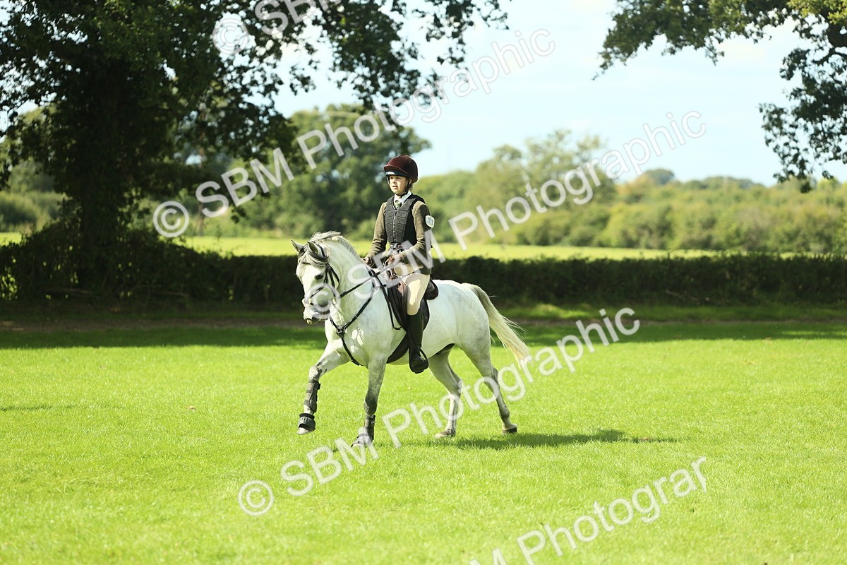 SBM_42952 - S30 - M&M Working hunter Pony