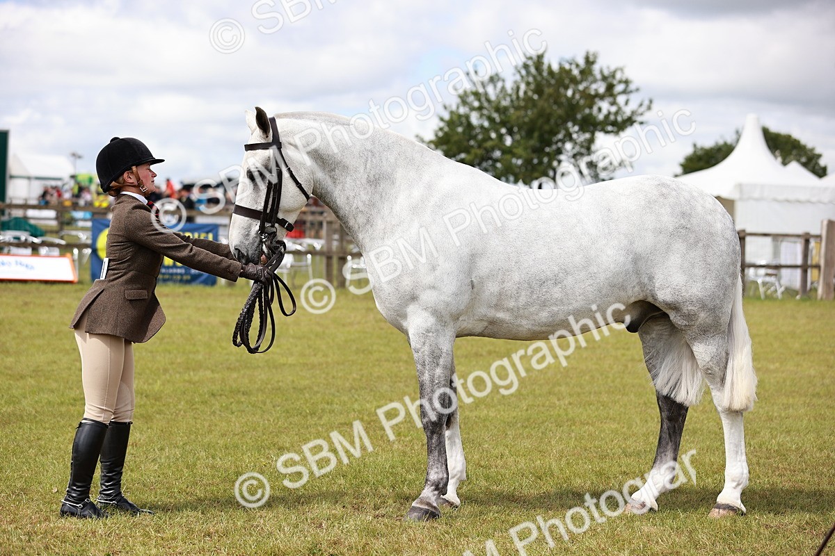 SBM_14061 - Class 85-87 - RIHS Cobs
