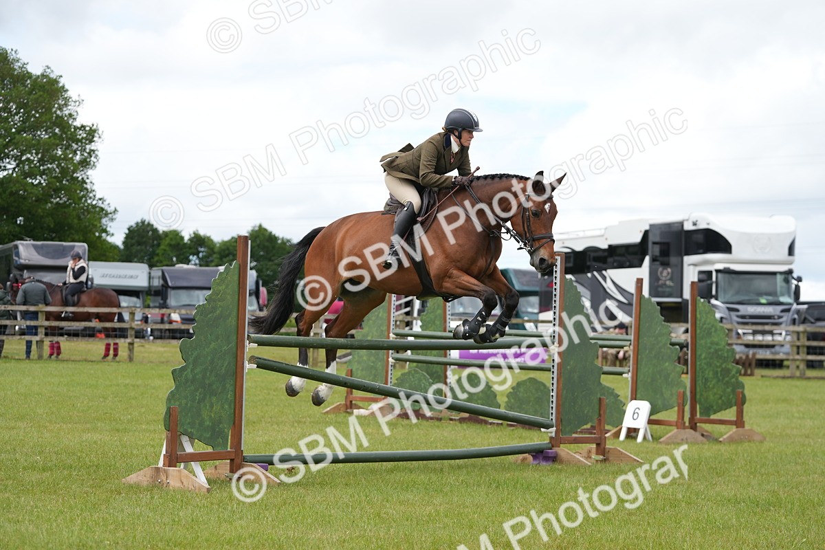SBM_14959 - Class 100-102 - RIHS Working Hunter