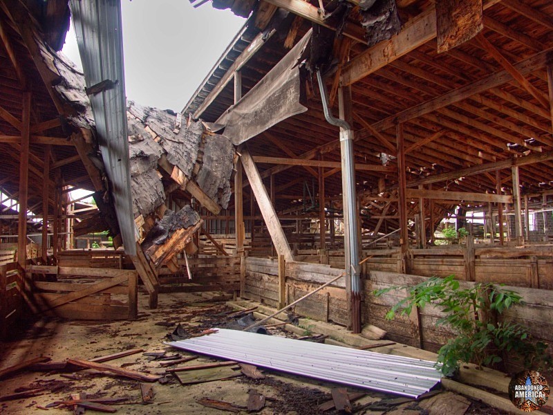 lancaster stockyard located in lancaster, pennsylvania. photography by matthew christopher murray of abandoned america