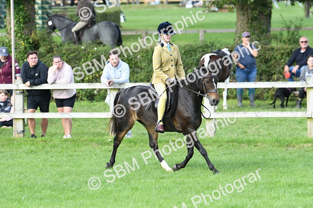 SBM_51816 - S21 - Novice & Newcomers 1st Ridden Pony