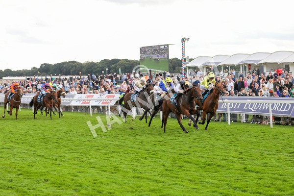 230824-Race 7-Treasure Time-8564 - Race 7 5.20pm Sky Bet Mile Handicap