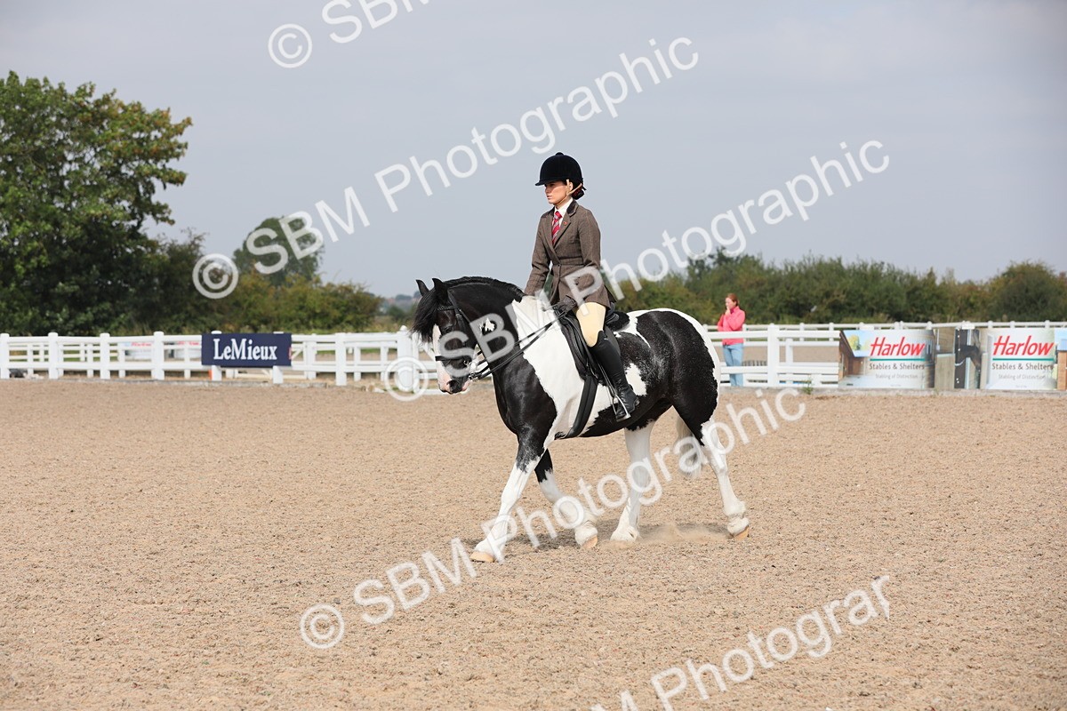 SBM_12783 - Class 307 Ridden Coloured Pony