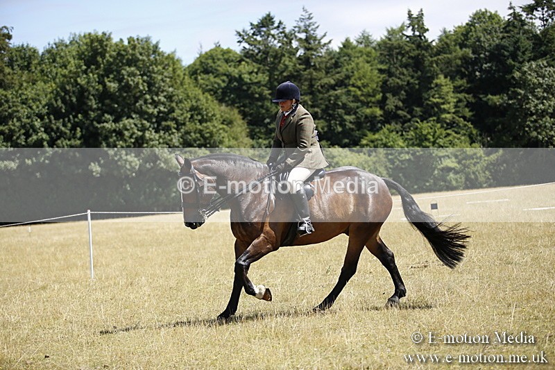 _C7A9911 - BVRC Show 2018 Ring 1