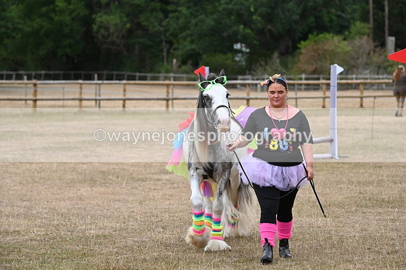 WJ6_8879 - Class 11 Fancy Dress