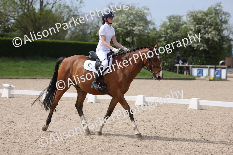 20260502-0913 - Class 9 - Novice 1