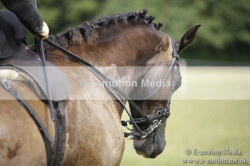 BVR160717-1969 - Side Saddle Classes 16/07/17