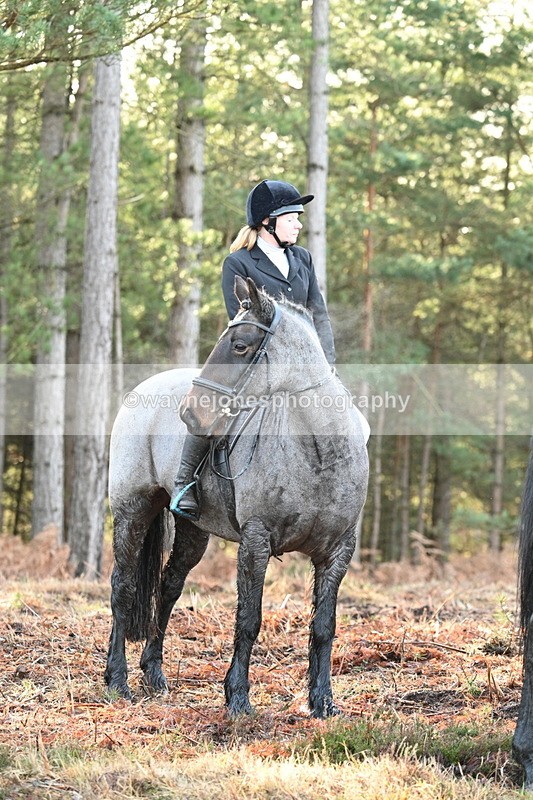 WJ7_7456 - Line 3 (no line 4 or 5)