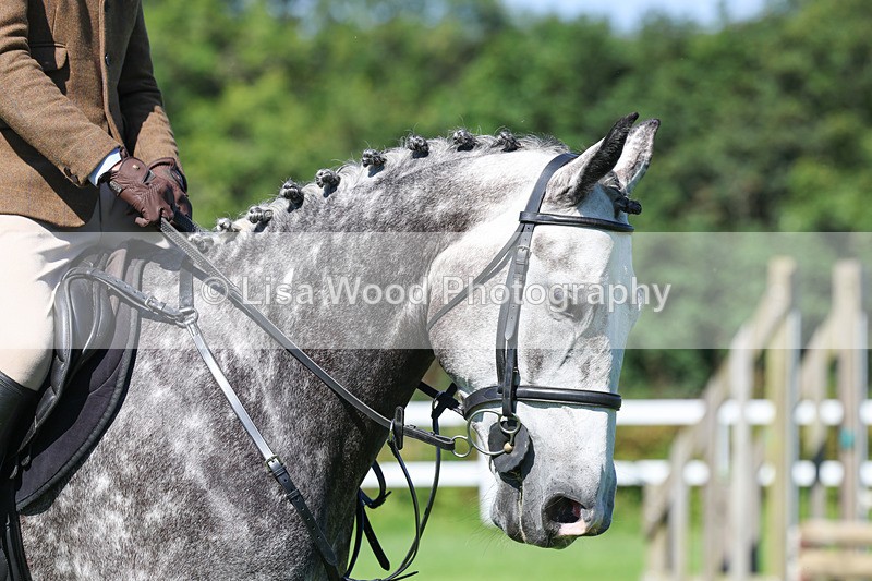 3E7A8439 - Class 4: Novice working Hunter