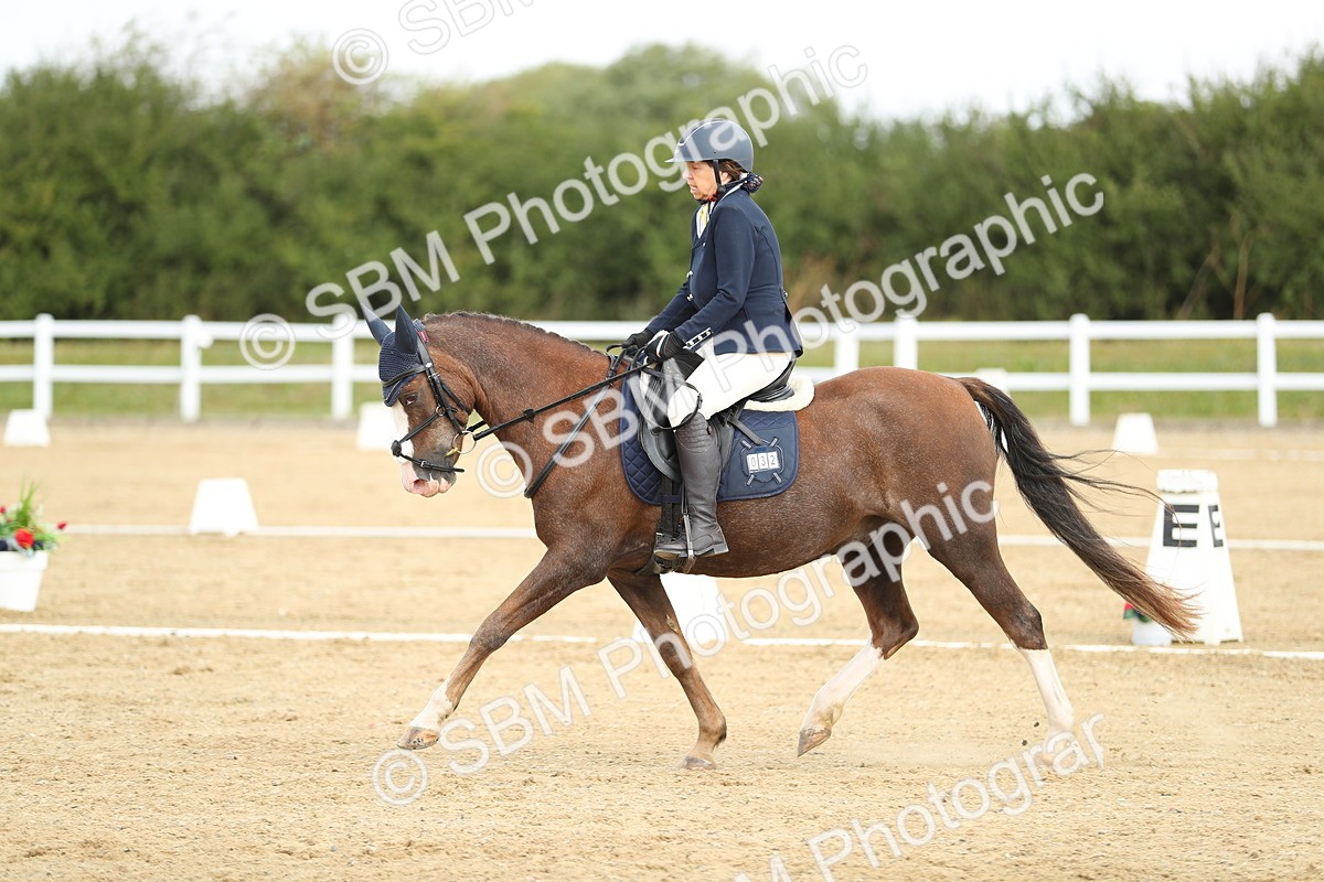 SBM_016296 - Class 13 - Novice 23 - 11.25-12.35