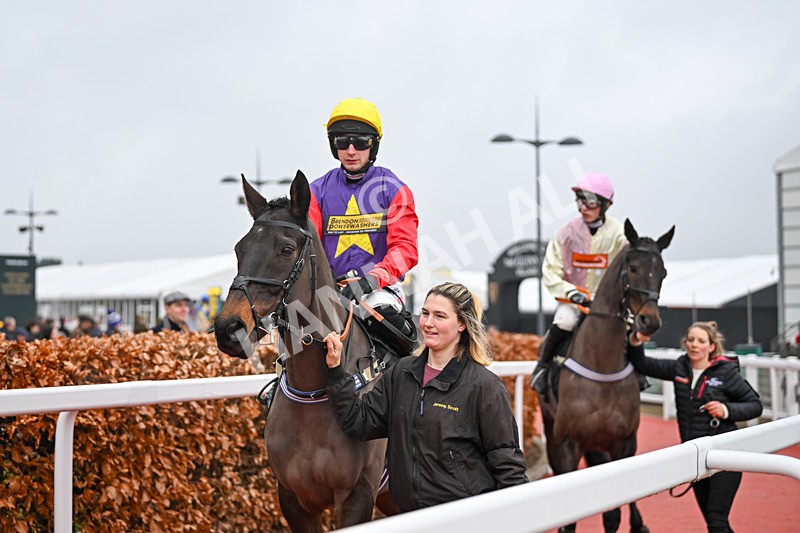 131224-Race 5-Dashel Drasher-9272 - Race 5