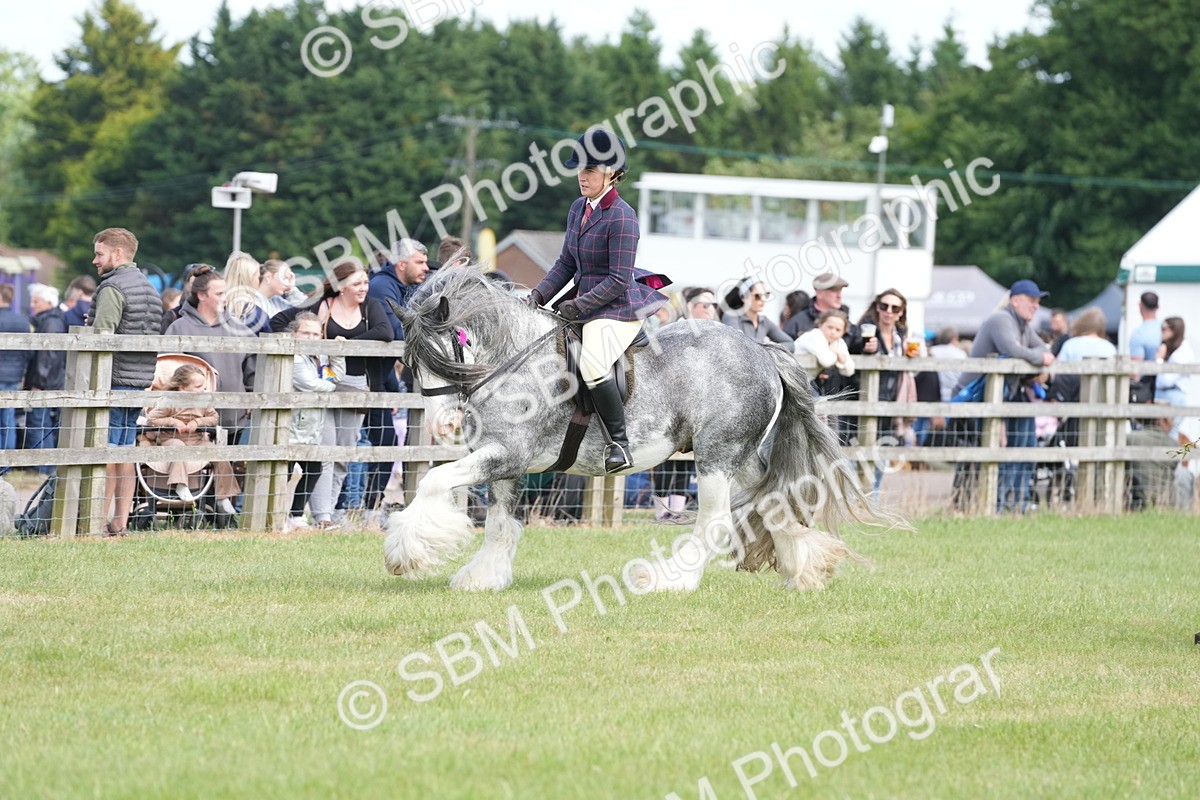 SBM_17159 - Class 107-108 - LIHS BSPS Performance Coloured Horse Pony