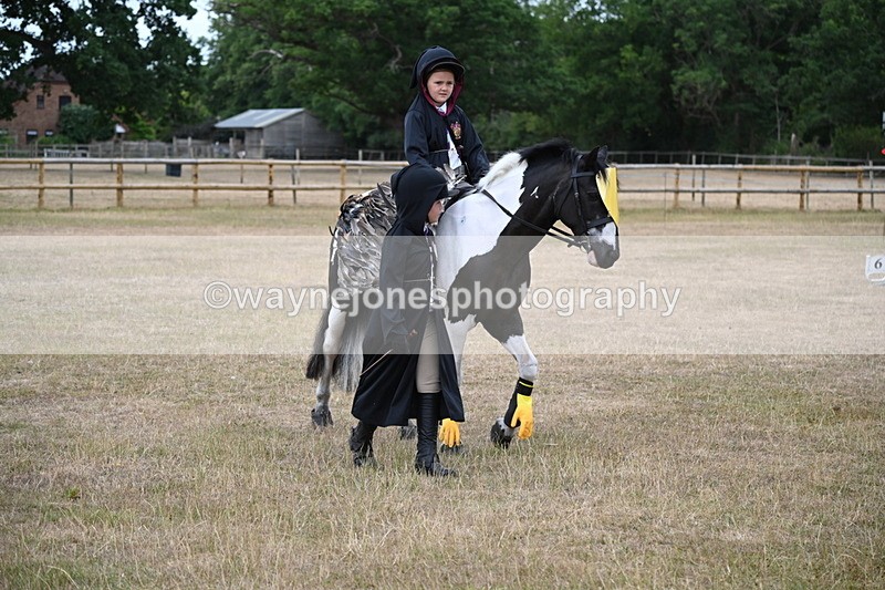 WJ6_8586 - Class 11 Fancy Dress