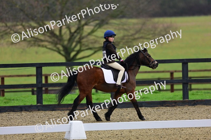 20260125-0502 - Class 9b - Walk Trot Unassisted