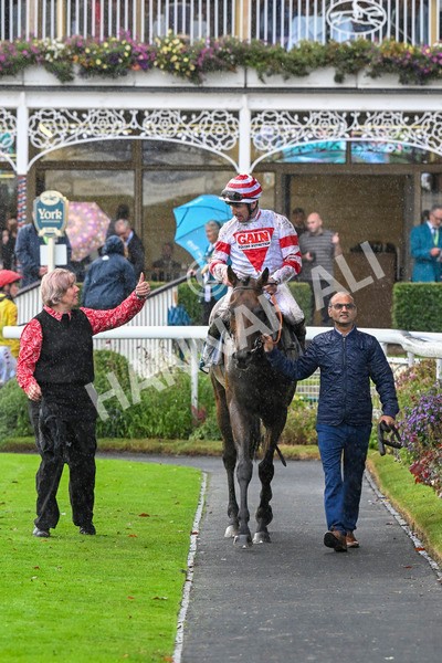 080924-Race 7-Young Fire-9755 - Race 7 5.10pm Elevator Company Amateur Jockeys' Handicap