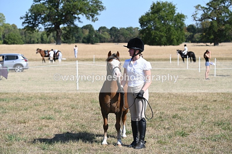 WJ6_7574 - Class 34 Judges Choice