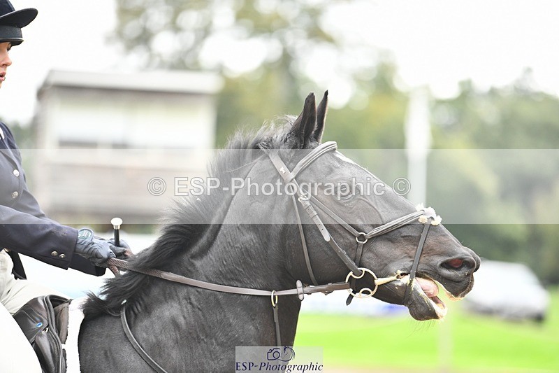 231001-144116-02974 - Cls 3 90cm