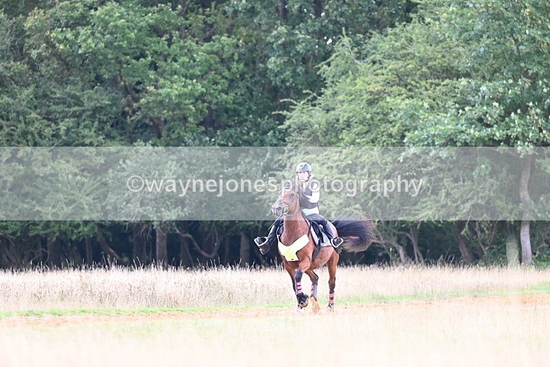 DSC_7290 - Time at Statue 13:16 to 13:52