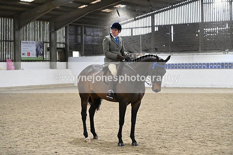 WJ7_4325 - Class 17 Ridden Cob