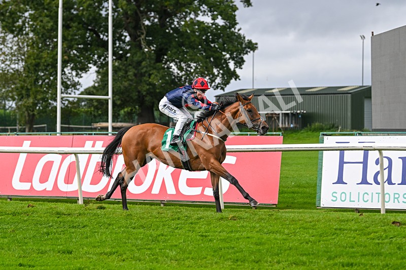 150925-Race 1-Max Of Stars-2209 - Race 1