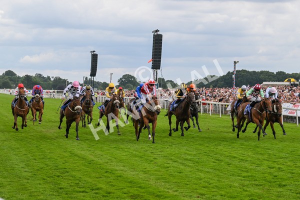 270724-Race 1-Night On Earth-6669 - Race 1 2.05pm Sky Bet 'Jump Jockeys' Nunthorpe' Handicap