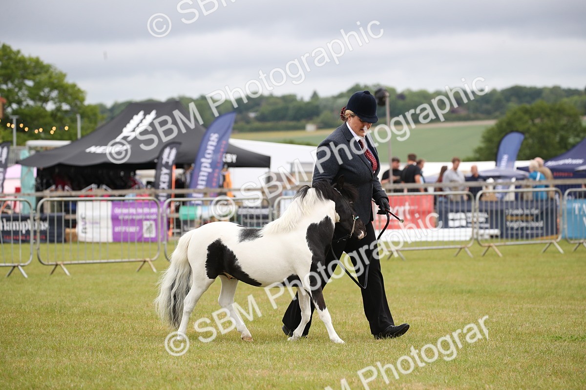 SBM_03814 - Class 23-25 - British Miniature Horse of the Year