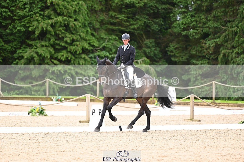 240524-093723-07916 - 507-DASSETT_ROCK_STAR-Tom_D_Crisp