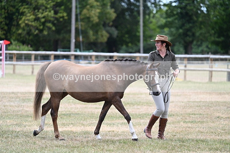 WJ7_2123 - Prettiest Mare Champs