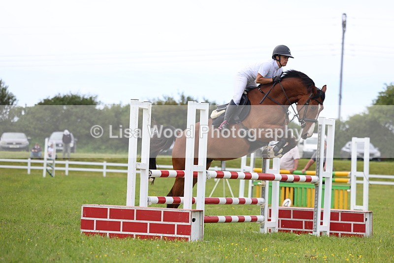 3E7A1784 - Class 13: Senior British Novice/90cm open
