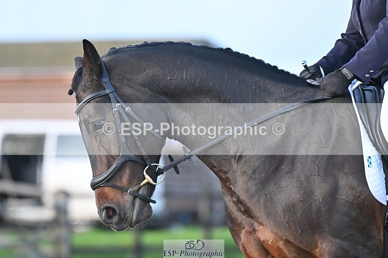 231105-160750-04032 - Cls 4 Novice 24 15.24 to 16.35 break